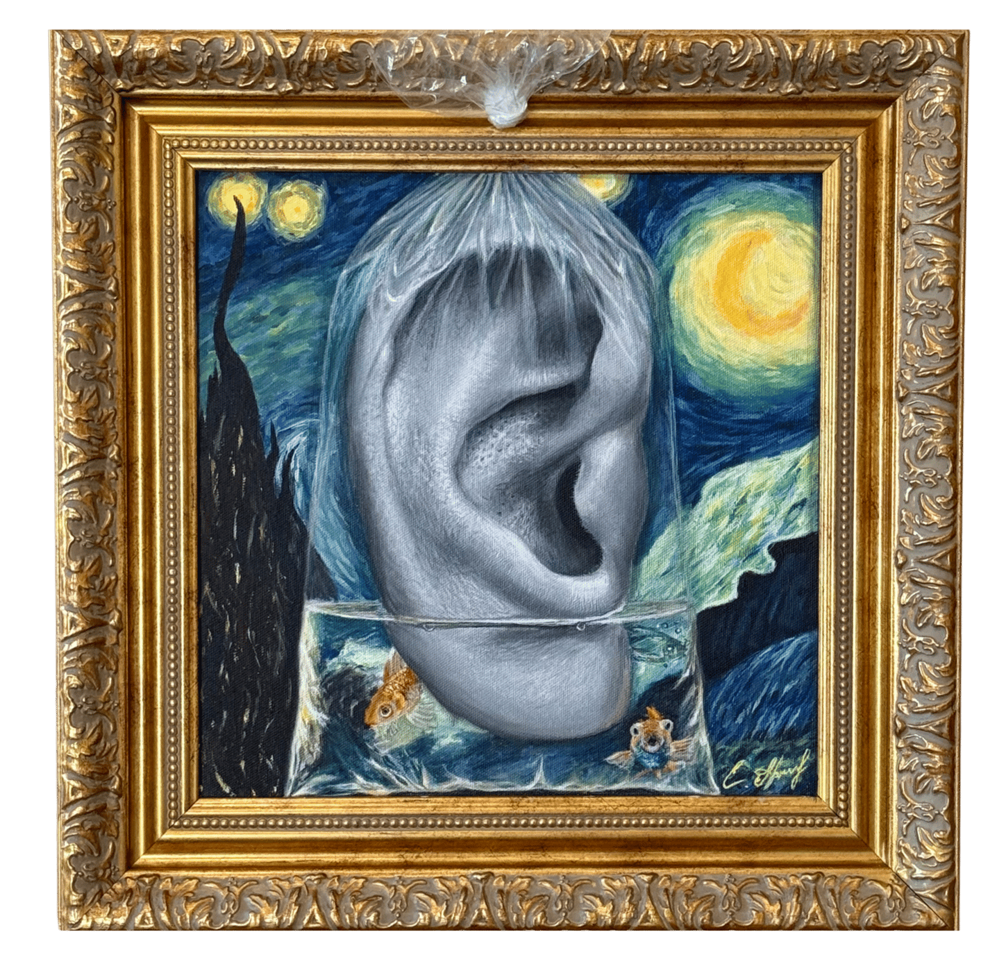 image 10