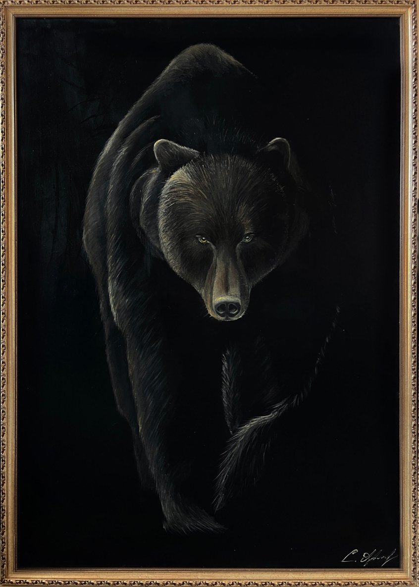 bear 1